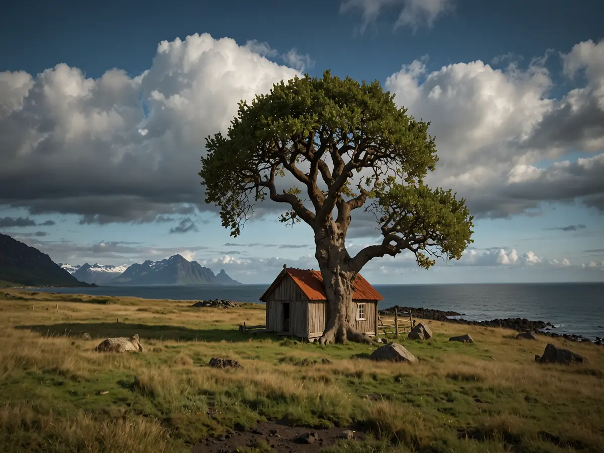 Perché in islanda costruiscono le strade girando intorno alle "case degli elfi"